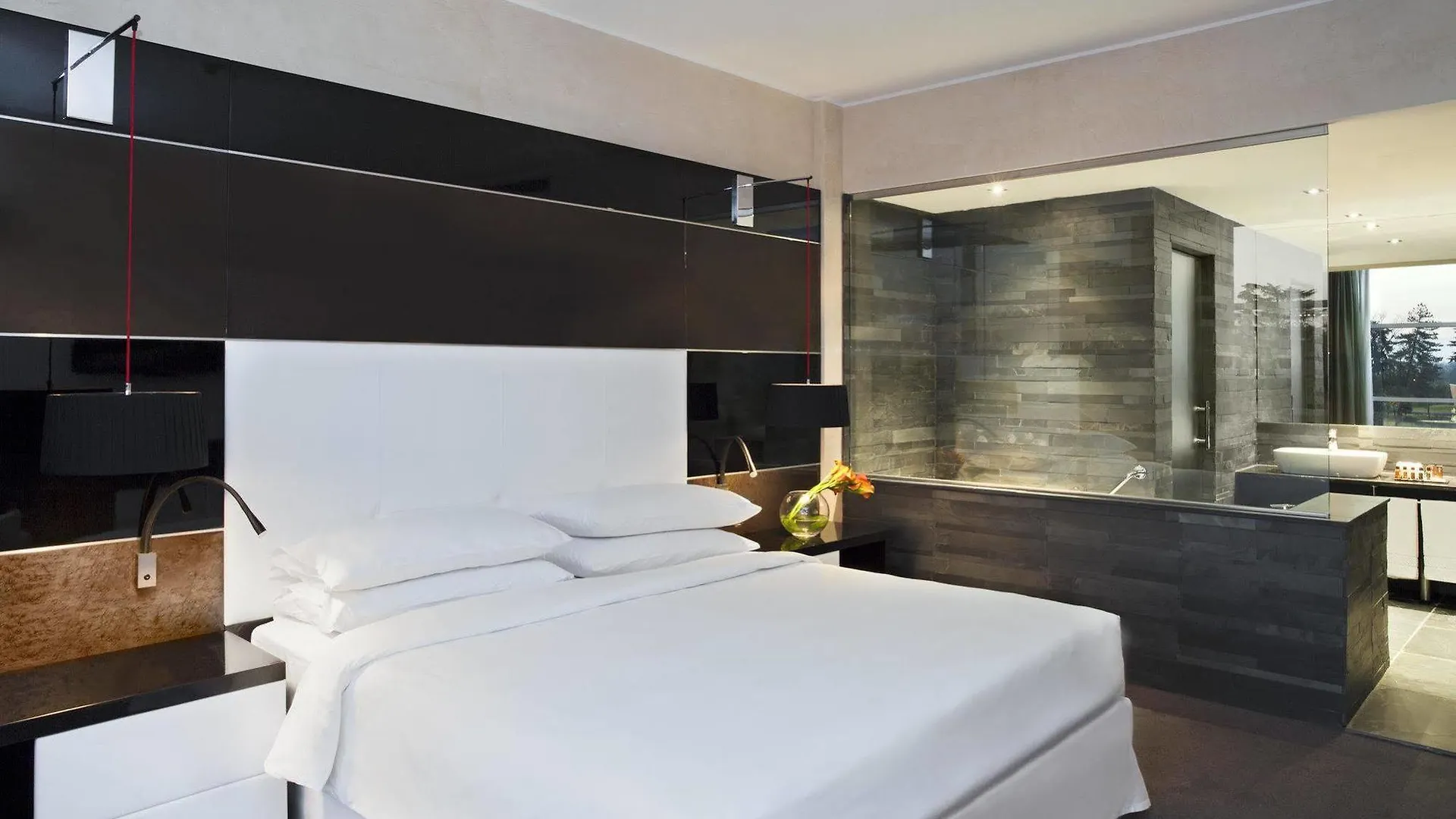 Sheraton Milan Malpensa Airport Hotel & Conference Centre Ferno 4*,